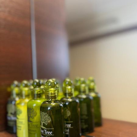 Kástron Lotzia Houseヴィラ エクステリア 写真
